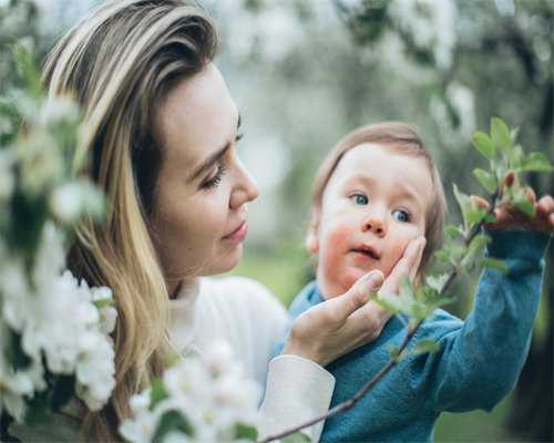 高龄三代试管婴儿成功几率与操作指南