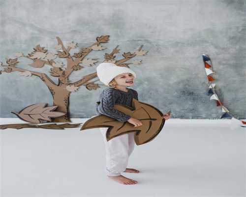 高龄女性美国试管前准备指南：41岁供卵与37岁生女儿的关键步骤