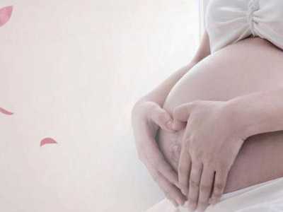 上海捐卵供卵代怀服务解析与2026试管医院推荐