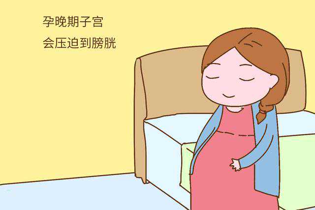 高龄供卵试管婴儿成功经验分享：北京费用与成功率解析