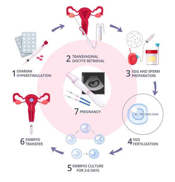 上海捐卵供卵代怀（供卵能用认识人的卵子吗）
