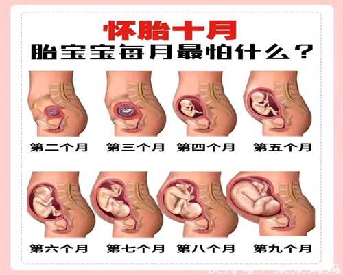广州供卵试管咨询_孕40周同房会感染吗