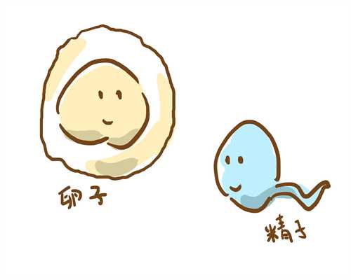 广州供卵试管价格_台州代怀孕哪家好_怎么与供卵试管人联系