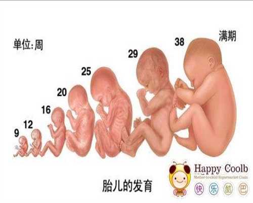 72种疾病可救助，最高补3杭州有做试管婴儿医院万！一