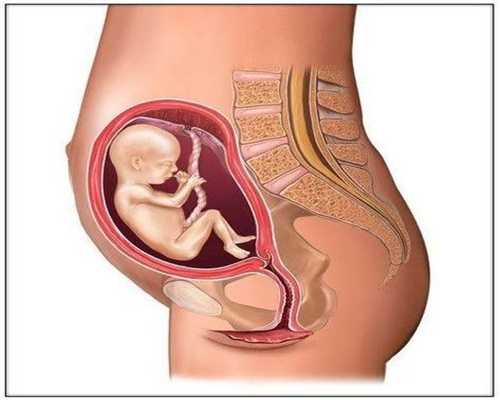 孕妇身迪奥试管香水体有三种变化，可能是胎儿在求救，要