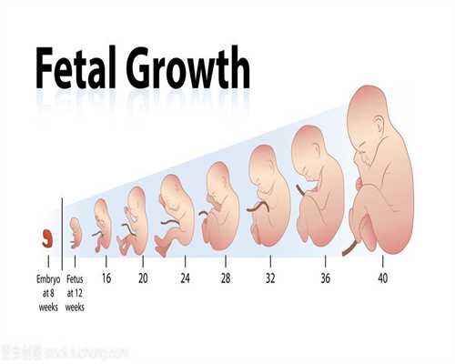 这几种状况下真三代试管移植几个胚胎的不适合怀孕，都来