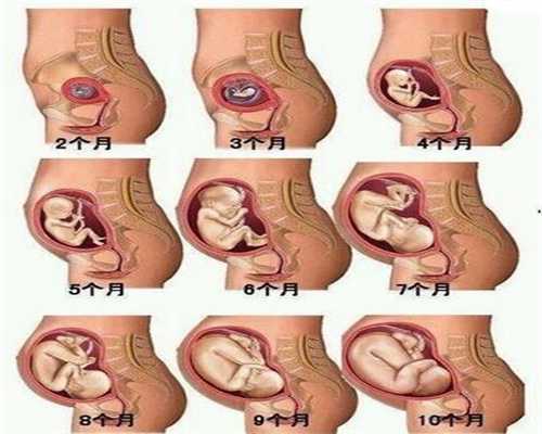 广州供卵试管生子~广州助孕科普~怀孕32天孕酮多少正