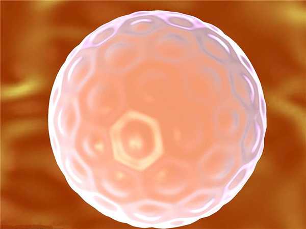 优质胚胎对比普通胚胎，移植成功率区别并不小